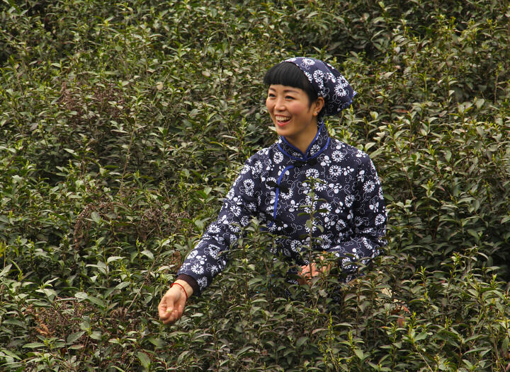 欲望深渊